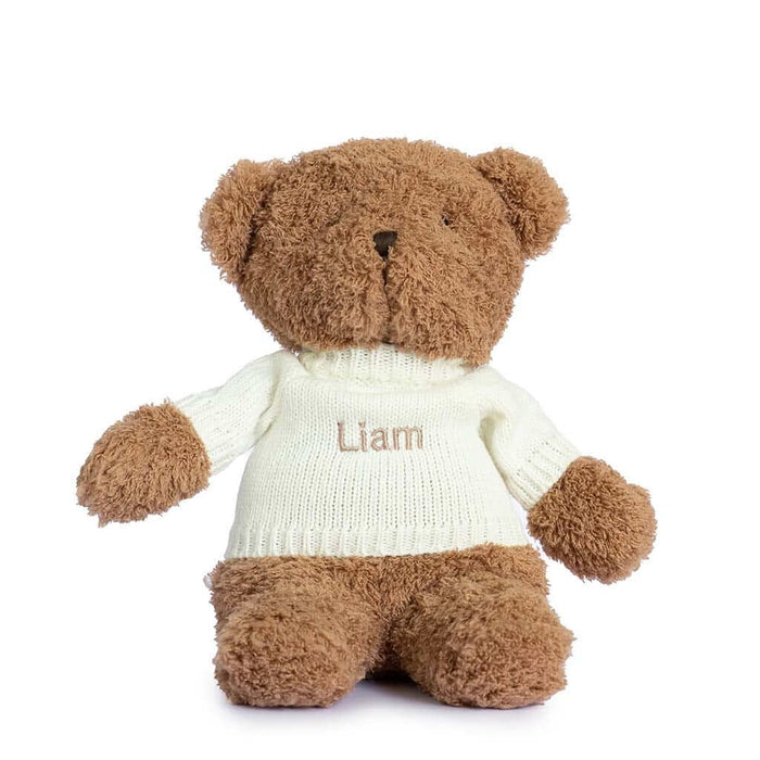 Teddy Set - Beige or Cocoa Teddy with Beige, Green, Grey, Pink, Dusty Pink, Rose Pink, Sky Blue or White Blanket